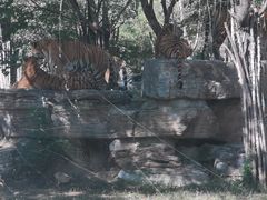 -秦皇岛野生动物园