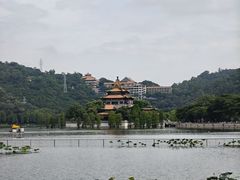-顺峰山公园