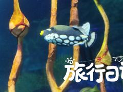 -沈阳海洋探索中心