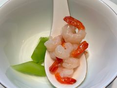 -蝶园·装修中(BFC外滩金融中心店)