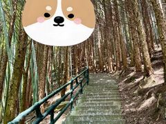 -萍乡武功山风景名胜区