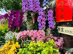 -溪岸路花鸟市场