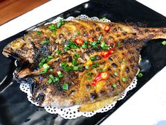 -九府羊·鲜羊火锅·烤串(新华路店)