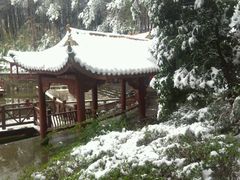 -铁山坪森林公园