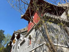 景点-少林寺景区