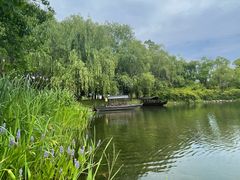 -养云安缦吧THE BAR