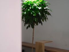 -光作面包Voila Lumiere(中山店)
