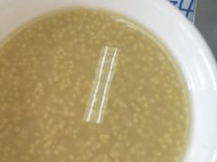 -北京外国语大学东院食堂