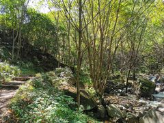 -云岫谷自然风景区