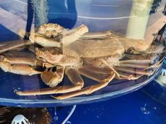 -沿海渔家院海鲜烧烤·东北菜(东戴河店)