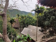 -海南槟榔谷黎苗文化旅游区