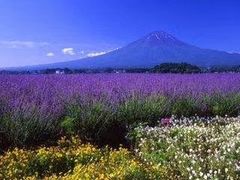 -乞力马扎罗山