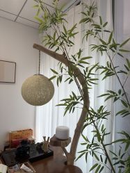 点击看大图 -宝妈港湾·妙初产后恢复(西局店)