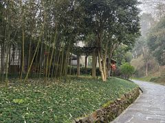 -常德桃花源景区