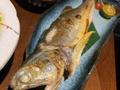 燒馬鮫魚-熊藏居酒屋(kkone店)