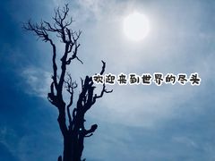 -霍顿平原国家公园