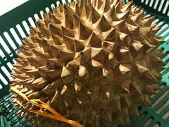 -都念榴莲·城市榴莲