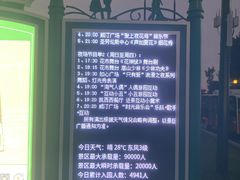 -荷兰花海