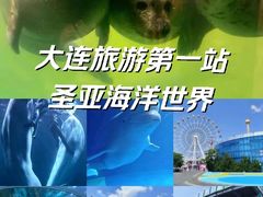 -大连圣亚海洋世界