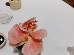 -新雅粤菜馆(南京东路店)