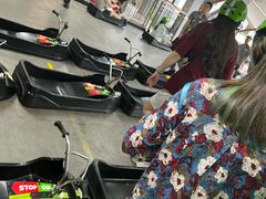-圣淘沙天际线斜坡滑车