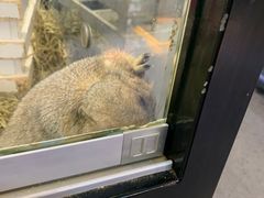 -宠物世家(仲盛世界商城店)