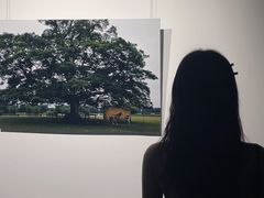 -升达艺术馆