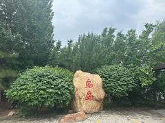 -沈阳鸟岛