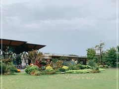 -上海长兴岛郊野公园