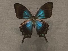 -DANXI丹喜面包·蛋糕(庐山店)