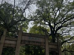 -南山风景名胜区