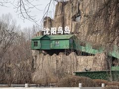 -沈阳鸟岛