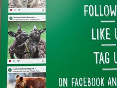 -费瑟代尔野生动物园