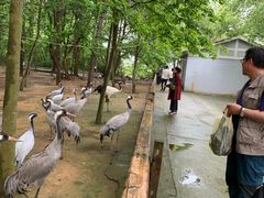 -鄱阳湖国家湿地公园