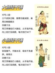 点击看大图 -玛莲朵·海菲秀冰珀科