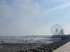 -碧海金沙
