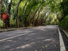 -大屏嶂森林公园
