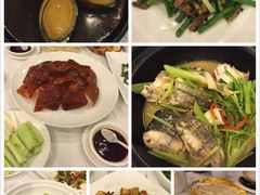 picture-金河半岛园林酒家(金融城店)