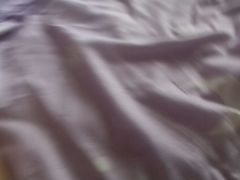 -百岁鱼(望月路店)