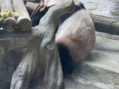 -常州淹城野生动物世界