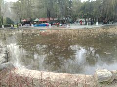 -西安市长乐公园