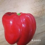 甜椒百变做法甜椒蒸鸡蛋