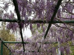 -沂蒙云瀑洞天景区