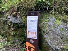 -西岭雪山大飞水景区