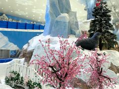 -湘江欢乐城欢乐雪域