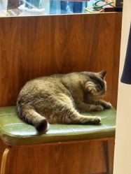 -优刻西服西装定制(金轮国际广场店)