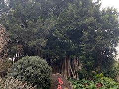 -乌山风景区
