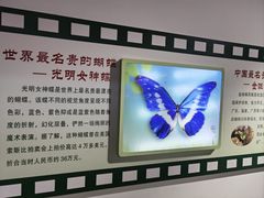 -上海昆虫博物馆