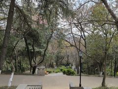 -太子山公园(园东路)