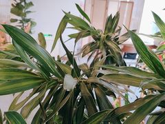 -墨宴(西洋湖店)